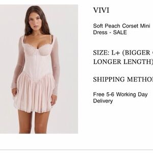 ViVI Blush Corset Mini Dress